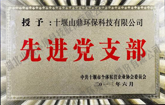 52013���Ƚ���֧��.jpg